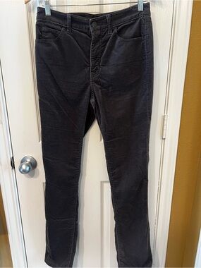 Talbots Velveteen Straight Leg Pants – Size 4 – Gray